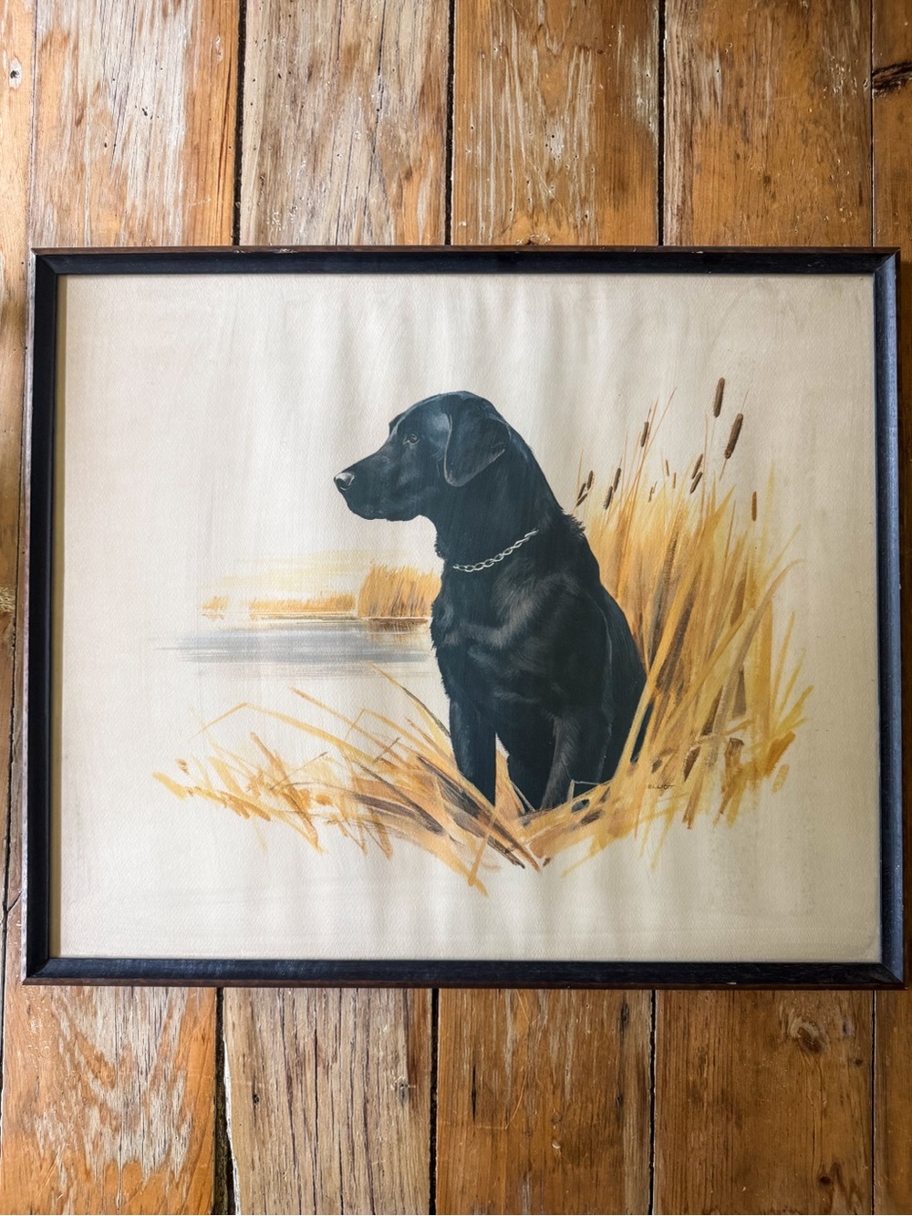 “Black Lab” by Elliot - Hunting Dog Art